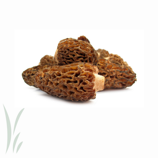 Wild Morel Mushrooms / lb