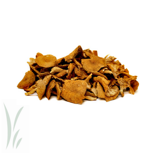 Wild Candy Cap Mushrooms, Dried / lb
