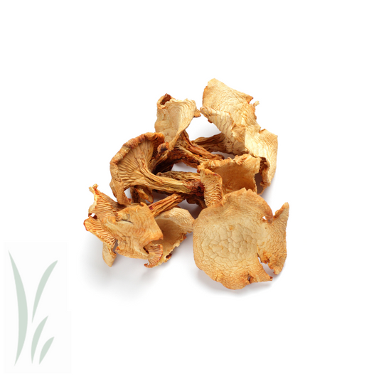 Wild Chanterelle Mushrooms, Dried / lb