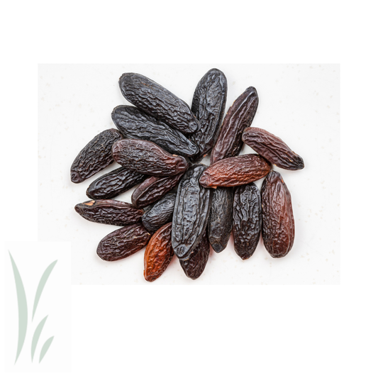 Tonka Beans / lb