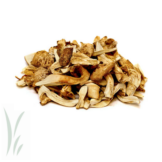 Wild Matsutake (Pine) Mushrooms, Dried / lb