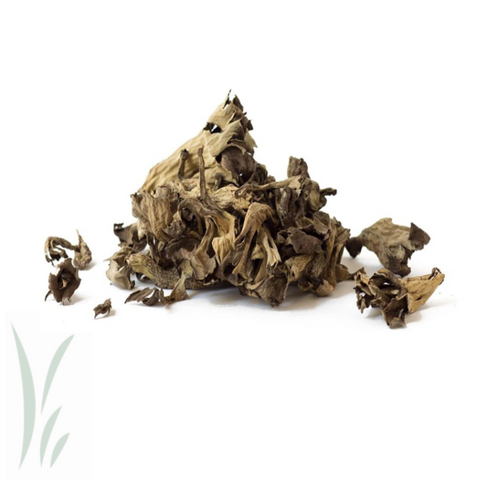 Wild Black Trumpet Mushrooms, Dried / lb