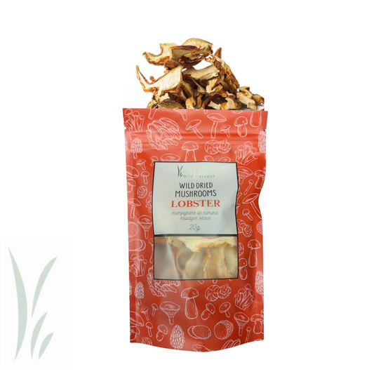 Wild Lobster Mushrooms, Dried / 20g