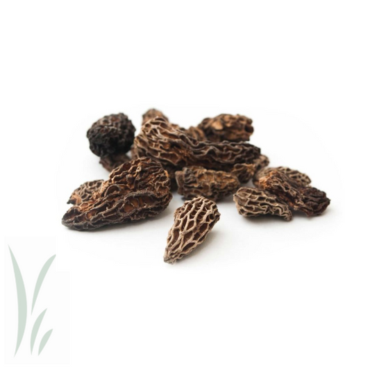 Wild Morel Mushrooms, Dried / lb