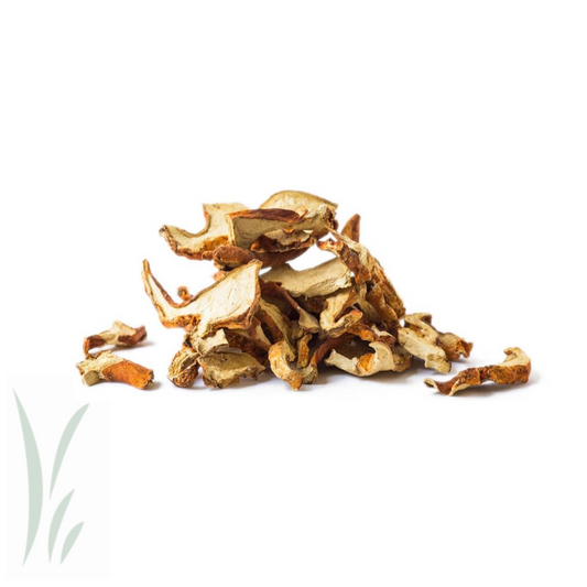 Wild Lobster Mushrooms, Dried / lb