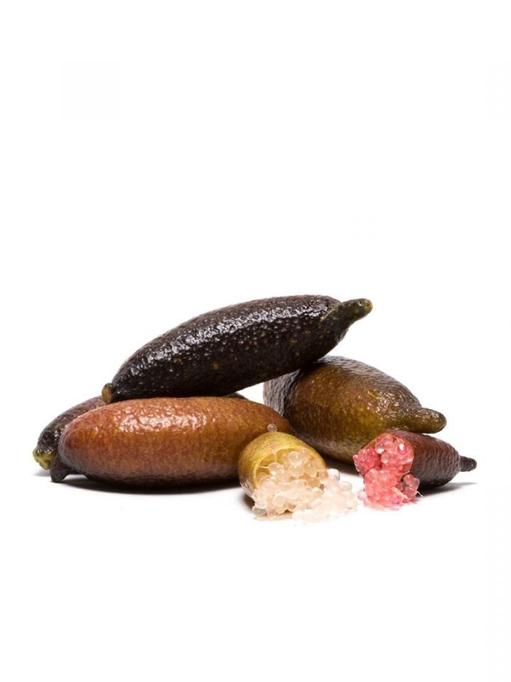 FINGER LIME - Origine Italia-Calabria 250g