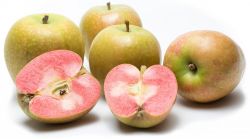 Mountain Rose Apples / 12 count case